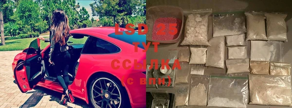 ПСИЛОЦИБИНОВЫЕ ГРИБЫ Алзамай