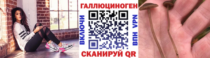Галлюциногенные грибы MAGIC MUSHROOMS  Ачхой-Мартан 